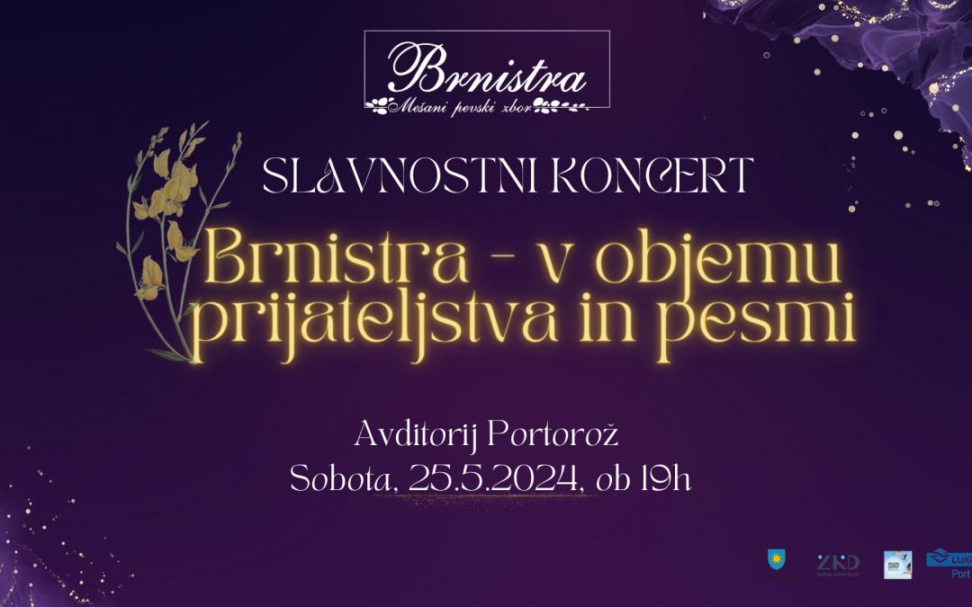 KONCERT OB 30. OBLETNICI DELOVANJA MEPZ BRNISTRA