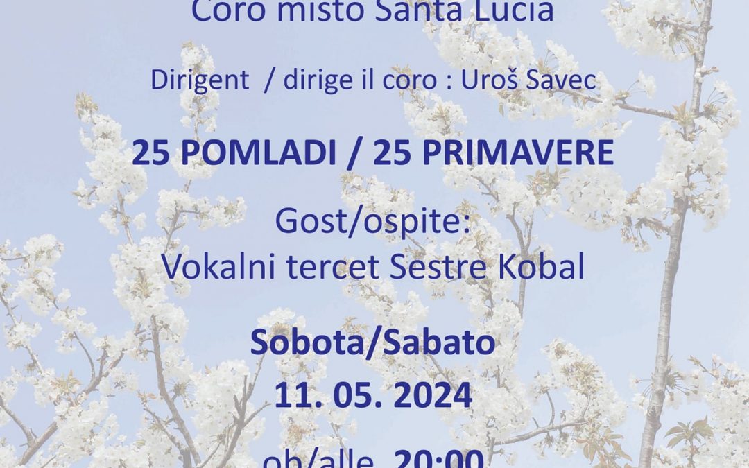 KONCERT OB 25. OBLETNICI DELOVANJA MEPZ SVETA LUCIJA